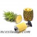 Fab Findz Perfect Pineapple Slicer and Cutter FAFA1004